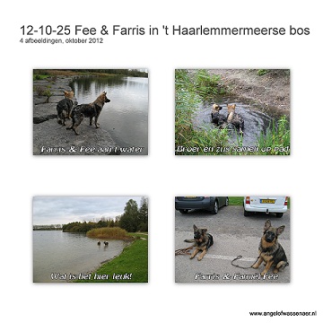 Farris & Fee samen in het Haarlemmermeerse bos, wat een prachtig natuurgebied is dit